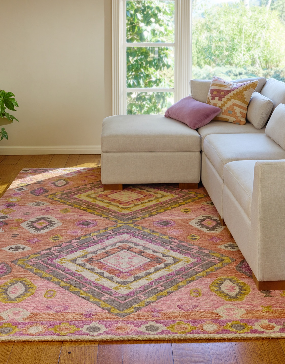 Shop Rugs