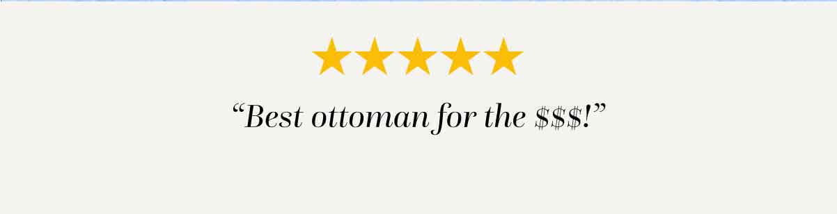  €�Best Ottoman For The $$$!” ›