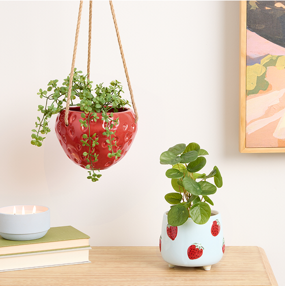 Shop Planters