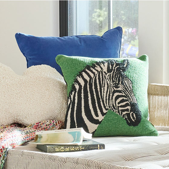 Shop Pillows